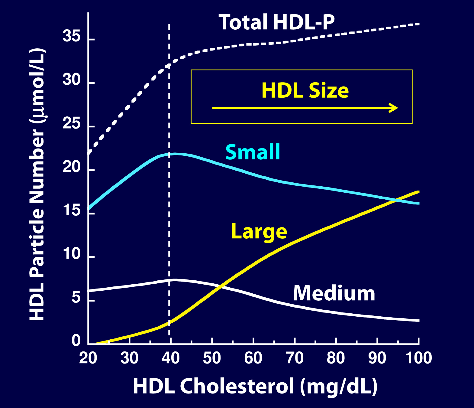 HDL-C changes with HDL-P