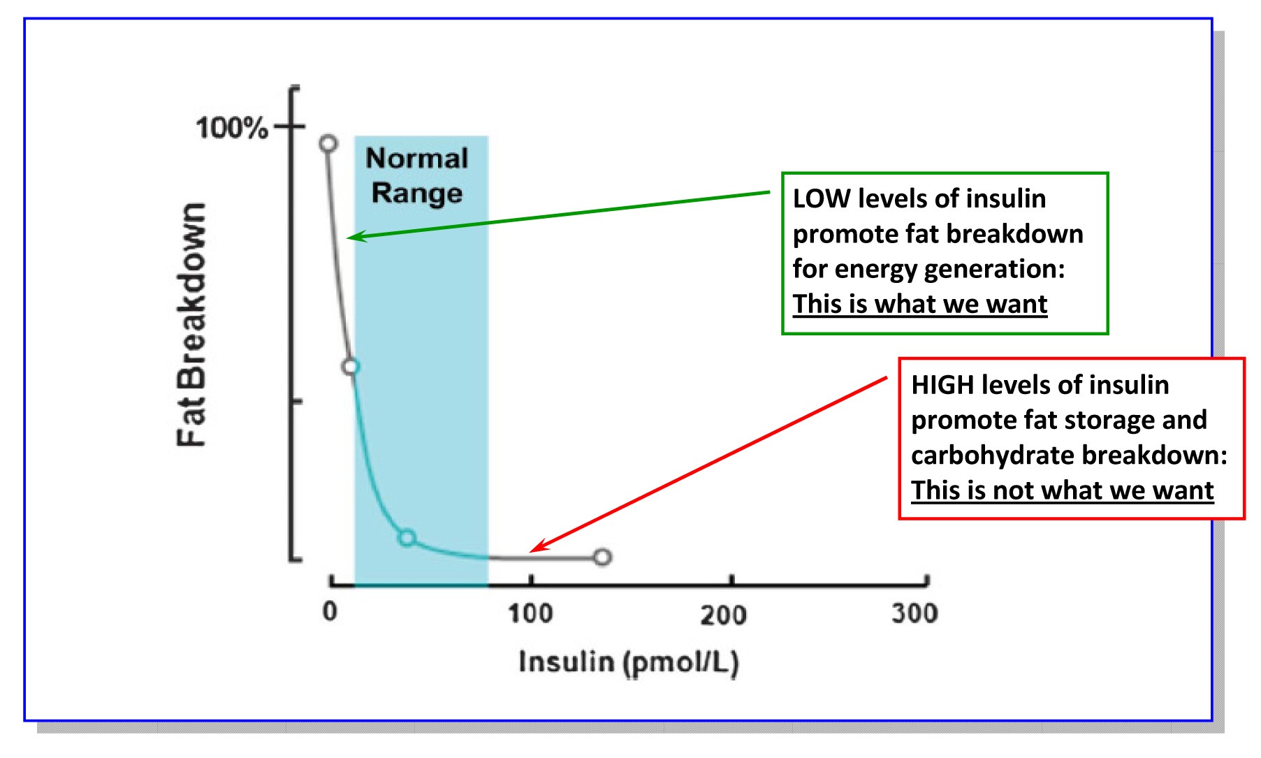Insulin levels versus fat breakdown
