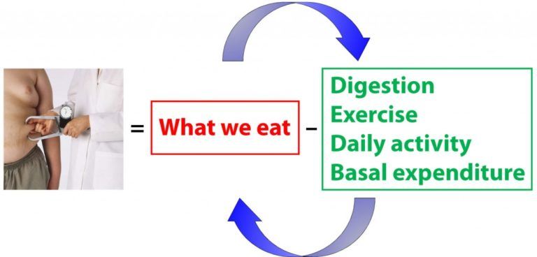 Do calories matter? - Peter Attia