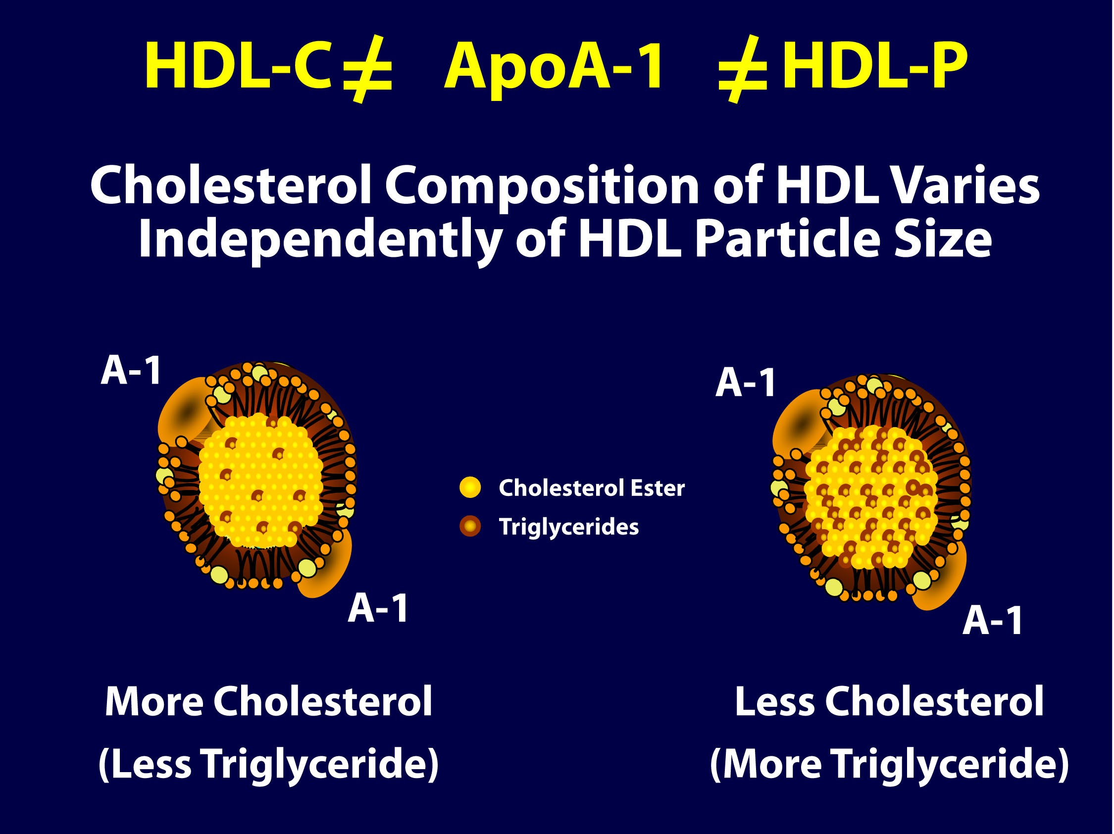 HDL-C not HDL-P