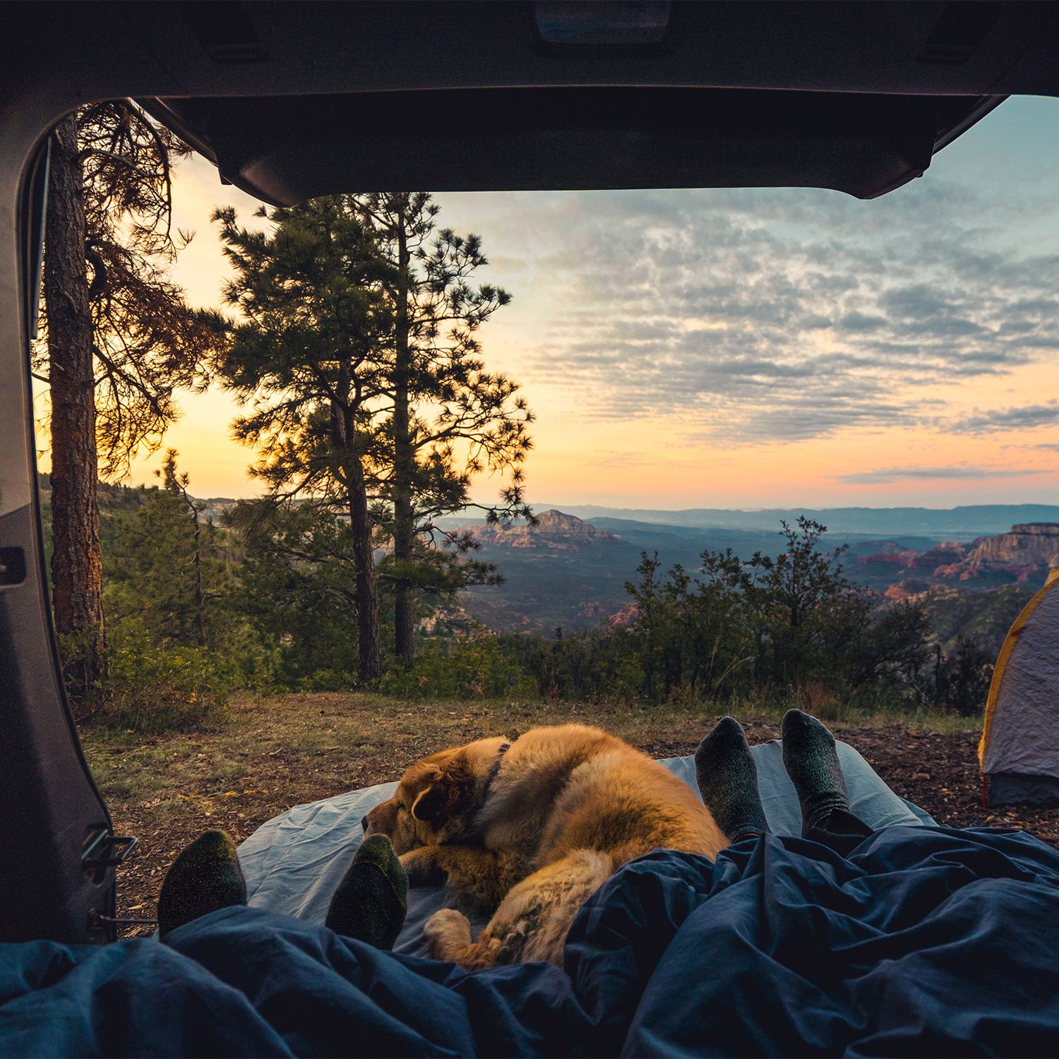 111 AMA 14 What lab tests can (and cannot) inform us about our