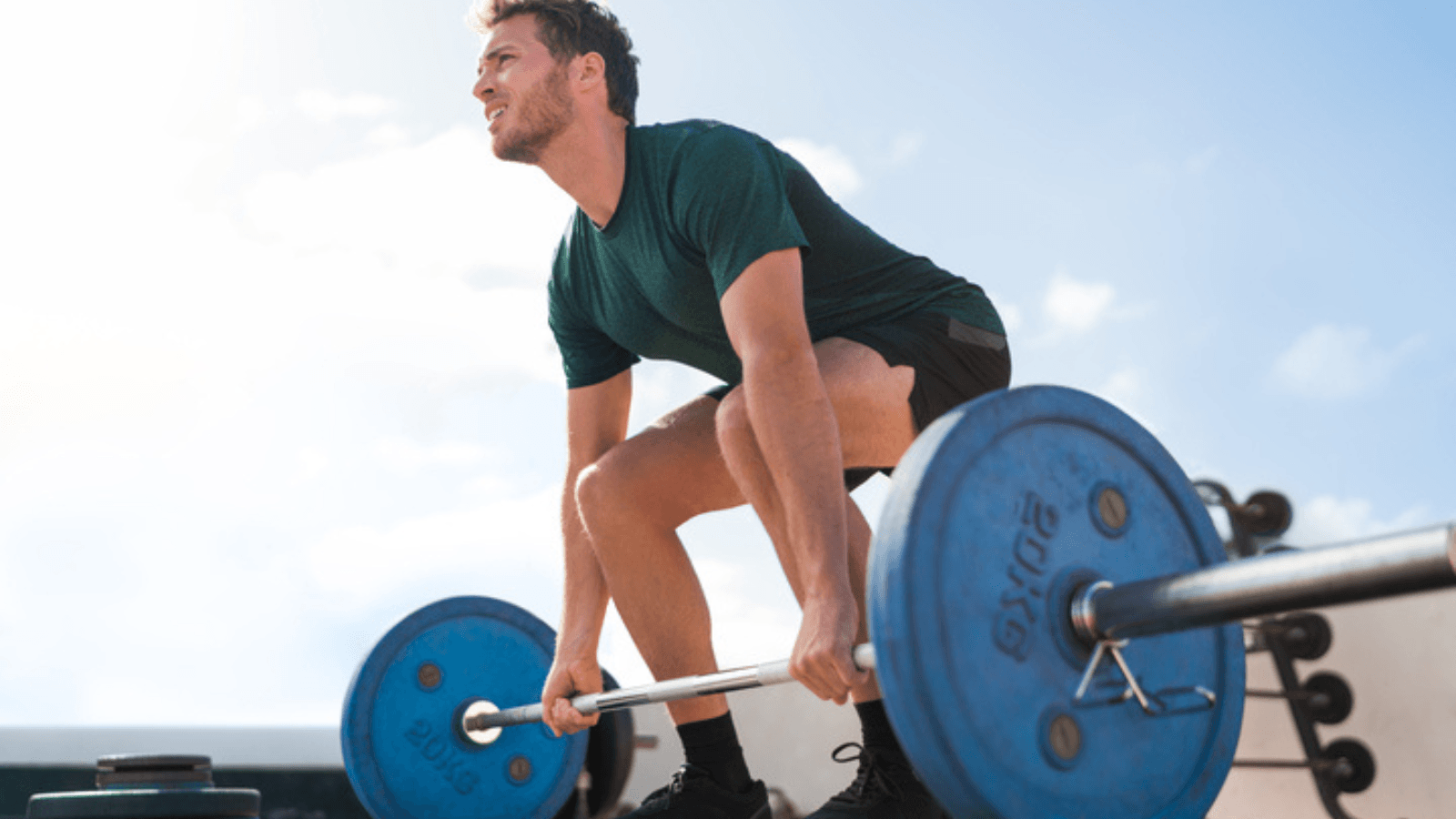 Is there a tradeoff between muscle size and aerobic capacity?